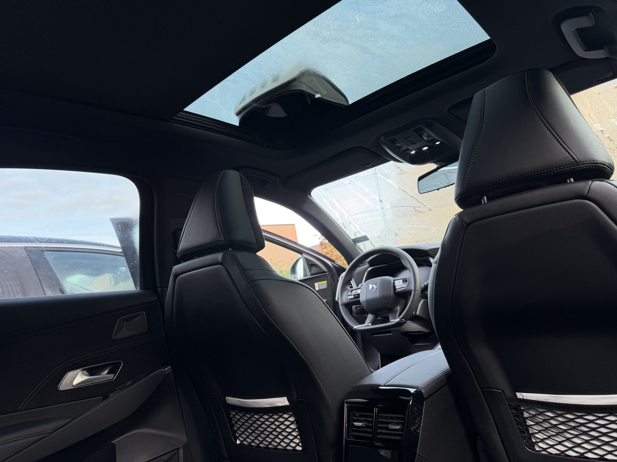 img 0564 2 scaled.jpg