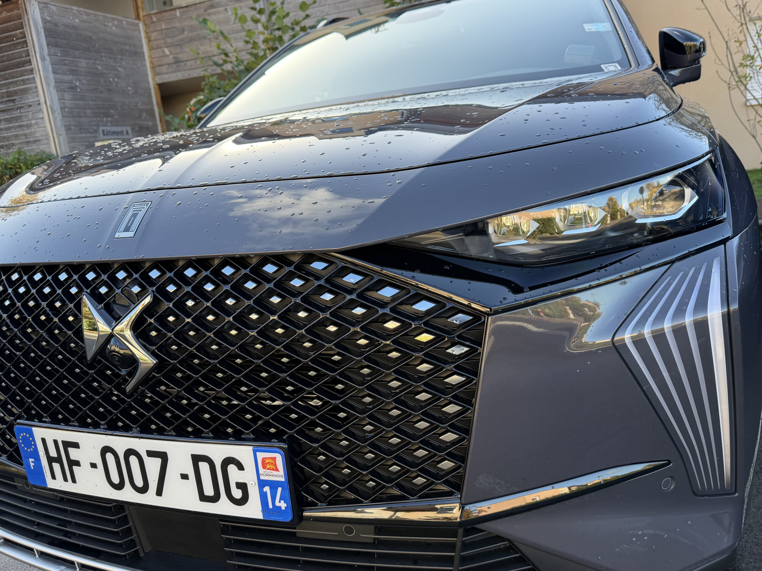 img 0628 2 scaled.jpg