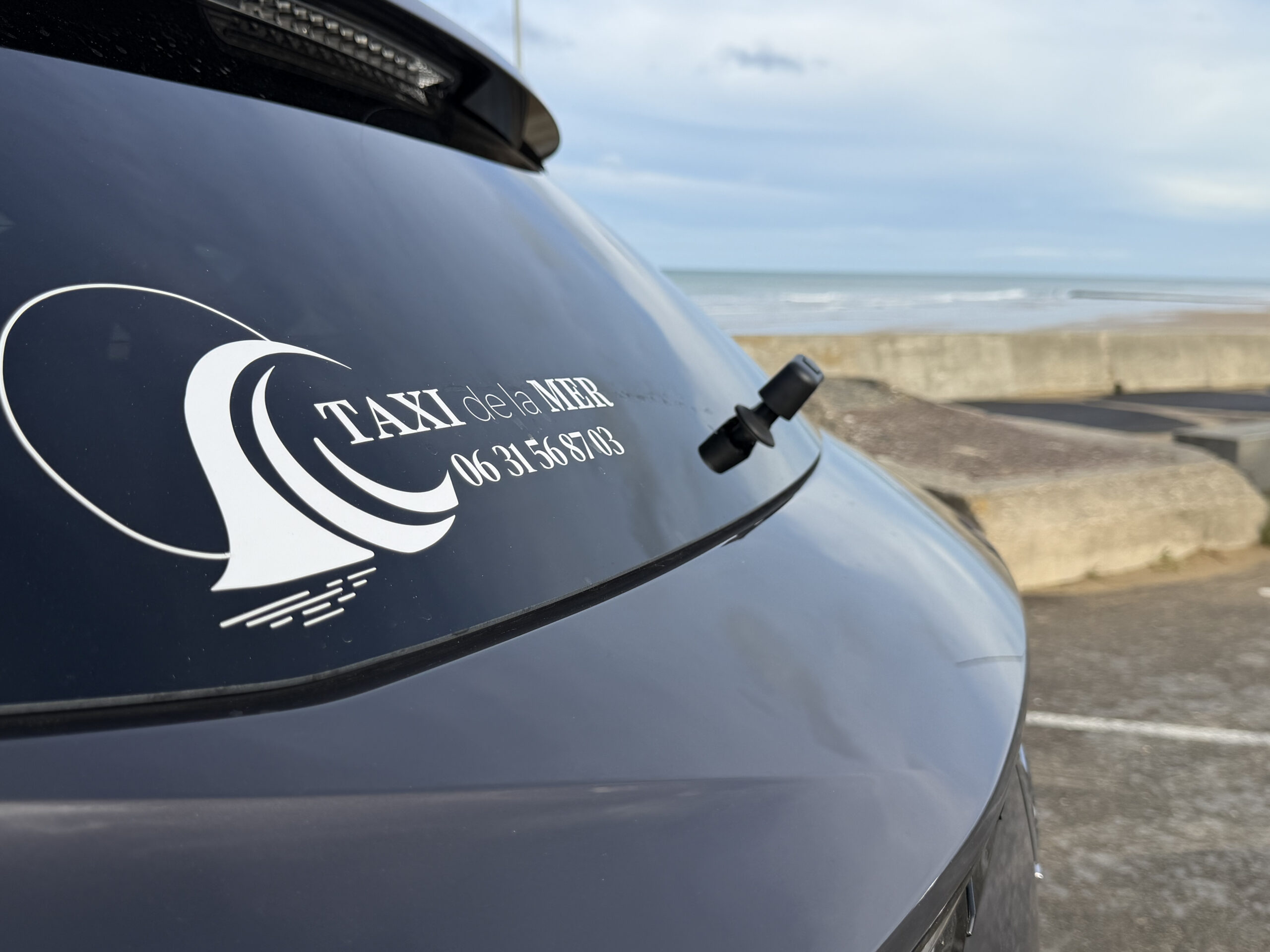 img 0679 2 scaled.jpg