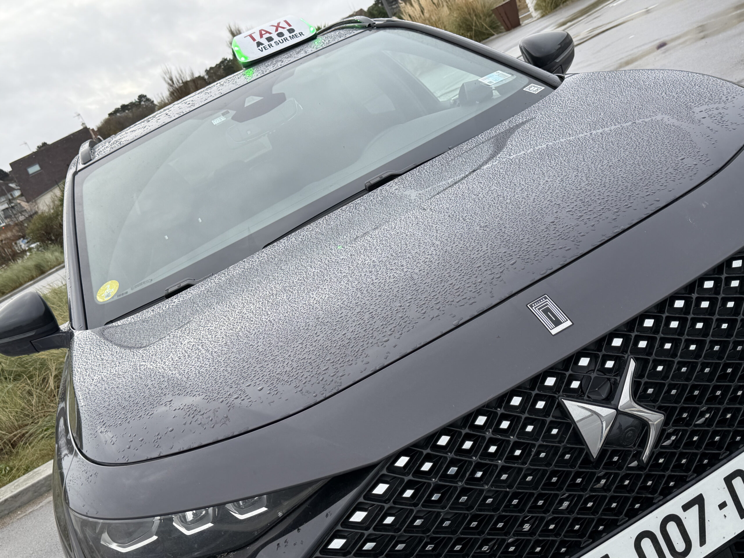 img 0819 2 scaled.jpg