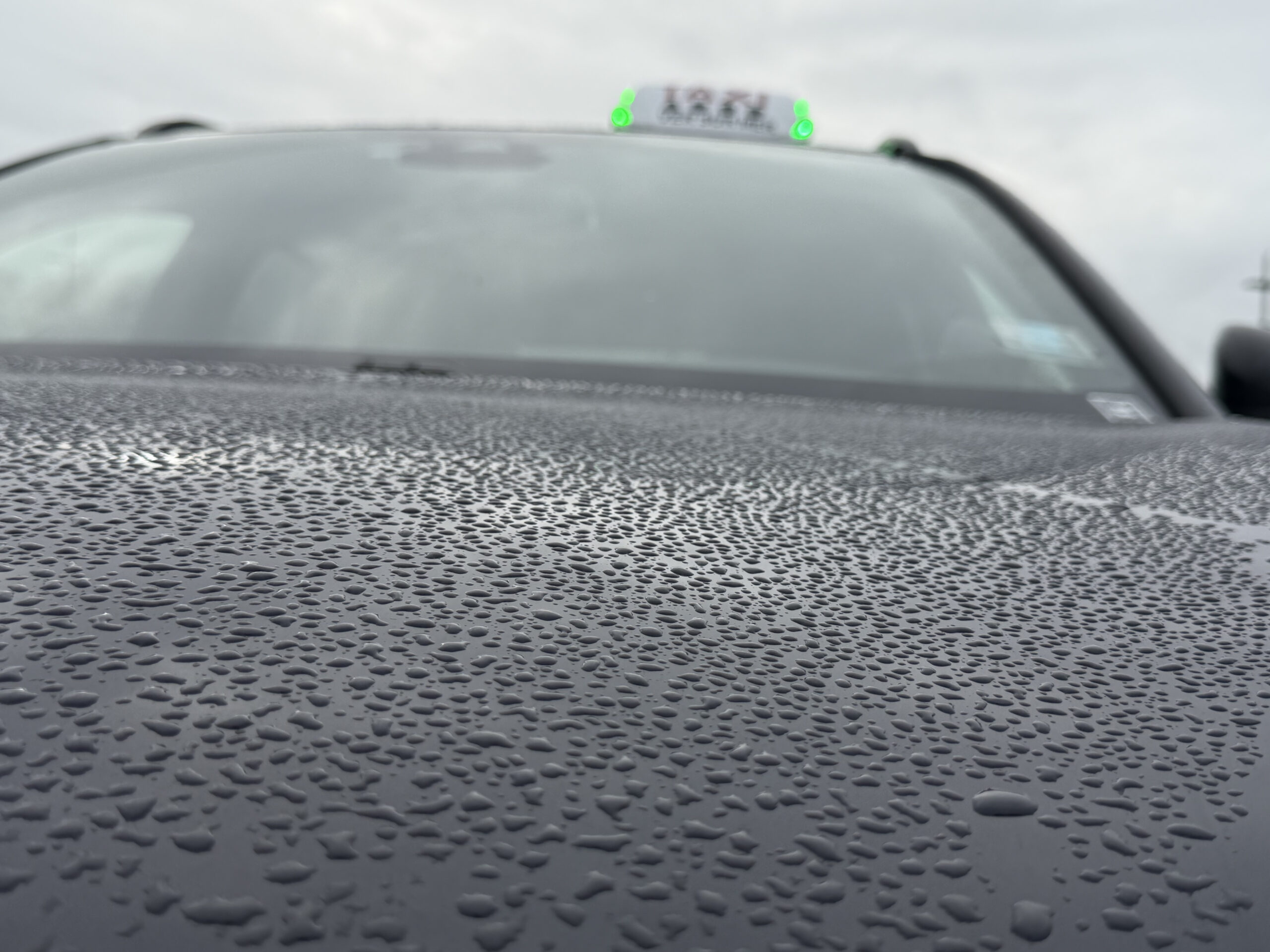 img 0820 2 scaled.jpg